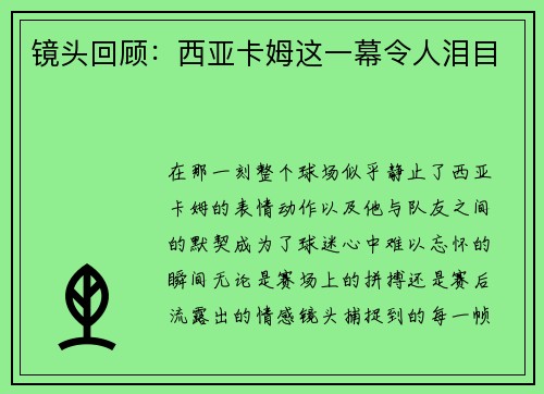 镜头回顾：西亚卡姆这一幕令人泪目